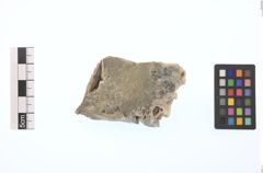 Foto von Gold (NHMW-MIN-Aa2569)
